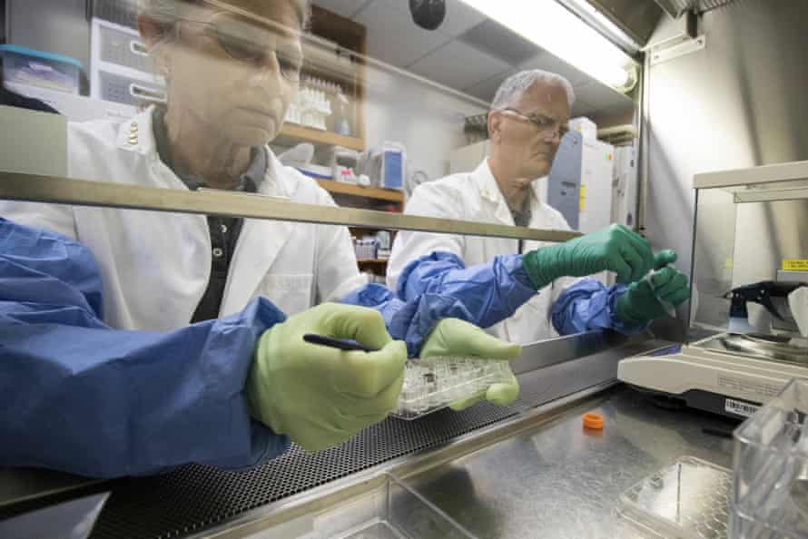 Mężczyzna i kobieta w białych fartuchach laboratoryjnych i rękawiczkach pracują z próbkami zza szklanej przegrody.