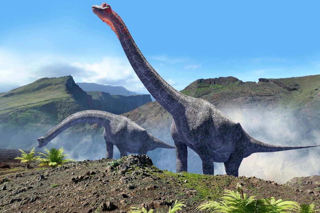 Szkielet prawdopodobnie należał do dinozaura zauropoda, który wędrował po terytorium współczesnej Portugalii w latach 160-100 milionów lat temu. 